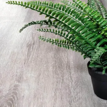 Каменно-полимерный пол Alpen Floor Classic ECO 134-5 Ясень Серый